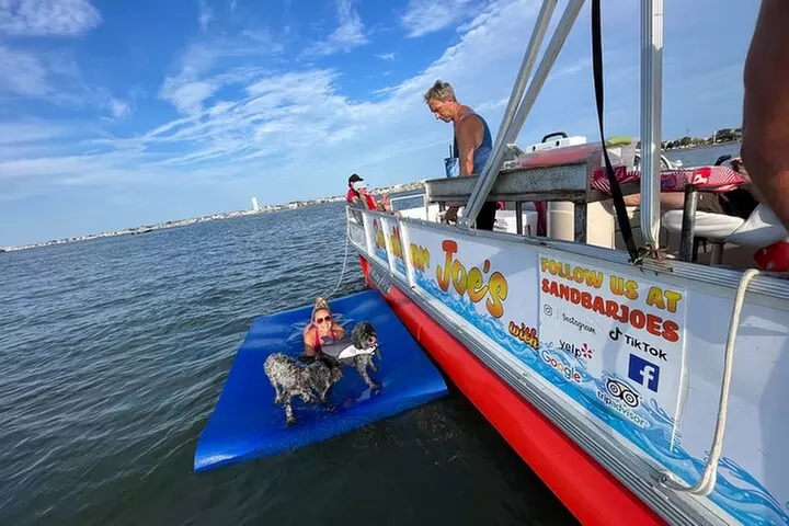 Private Four Hour Sandbar Adventure from West Wildwood - Primary Image