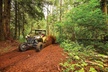 Puerto Rico Offroad 1.5 Hour UTV Experience in San Juan - Second Medium