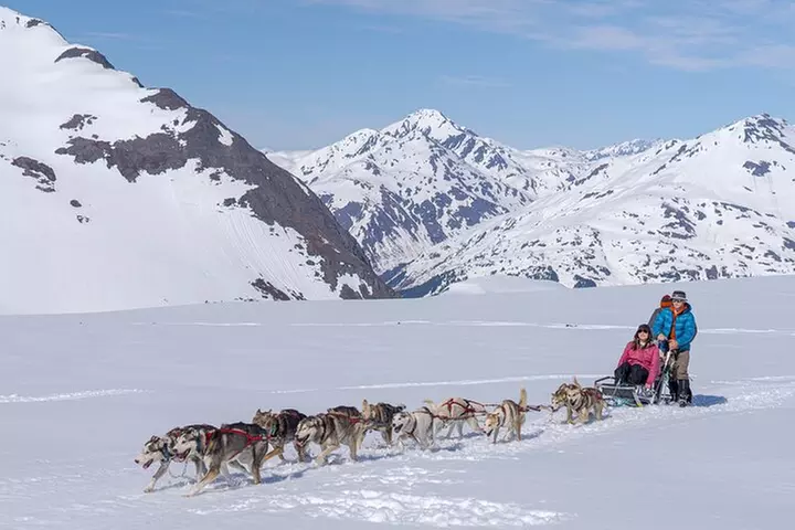 Summer Glacier Dogsledding Tour from Girdwood