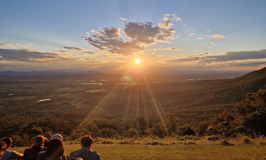 Image 11: Lamington & Tamborine Day Tour: O'Reilly's, Curtis Falls & Sunset