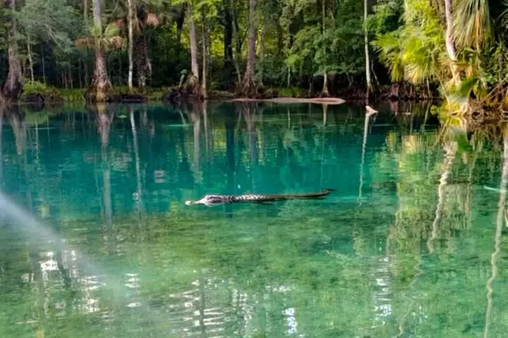 Glass Bottom Kayak Tours of Silver Springs