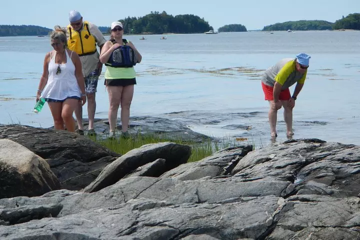 Oyster Farm & Complimentary Tasting Sea Kayak Tour in Casco Bay