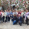 Image 2: Tour Guiado por el Concurso de Patios de Córdoba