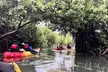 Bioluminescent Bay Kayak Tour in Fajardo Puerto Rico - Second Medium
