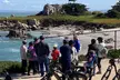 Monterey's 17 Mile Drive Guided Electric Bike Tour, 3 hr - Second Medium