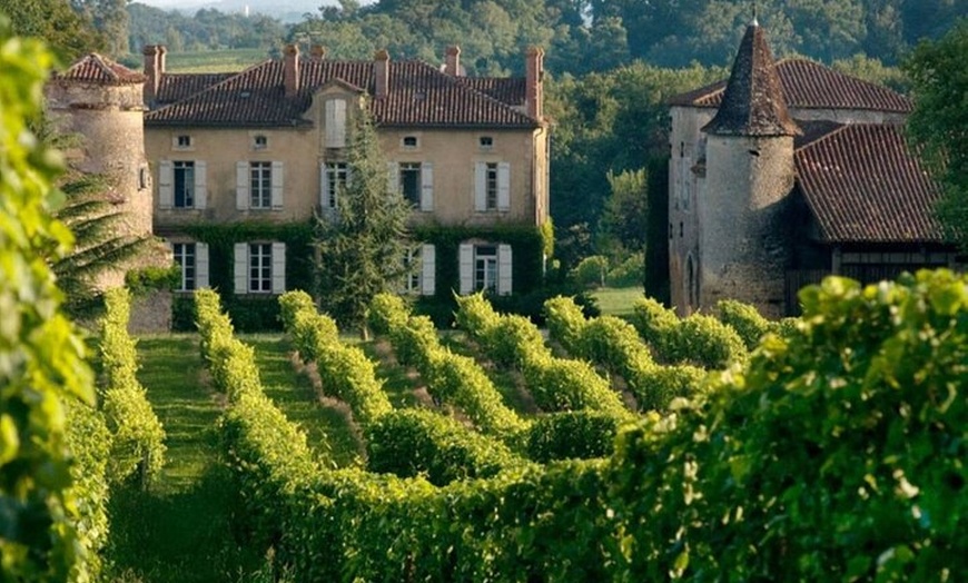 Image 7: Excursion d'une journée complète de Bordeaux à Saint Émilion avec d...