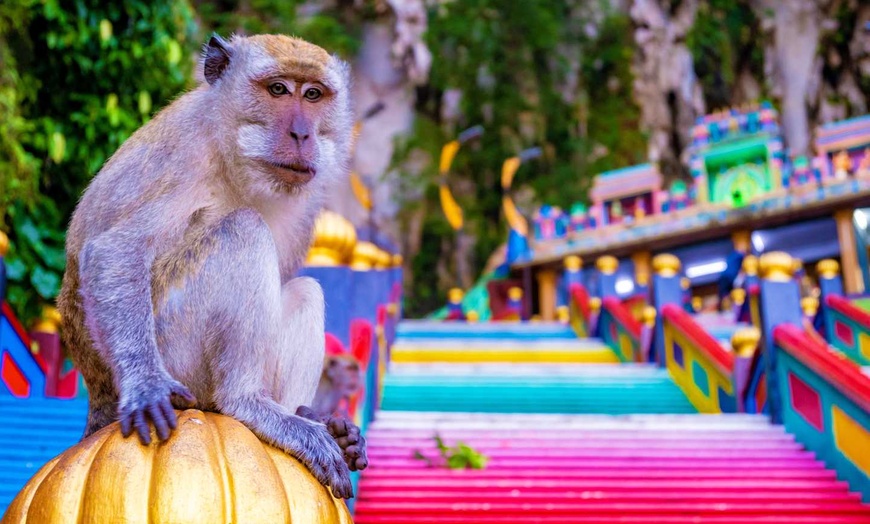 Image 8: ✈ MALESIA | Kuala Lumpur - Chic e fascino in Malesia 4* - Tour