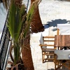 Image 8: ✈ ALBANIE | Vlore - Cayo Exclusive Hotel 4* - Bord de mer