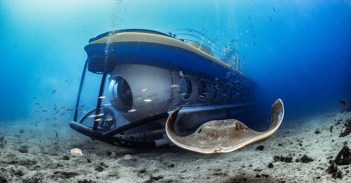 Tour submarino con recogida en hotel en Tenerife Sur