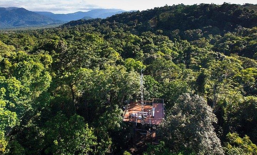 Image 4: Daintree Discovery Centre Family Pass Ticket