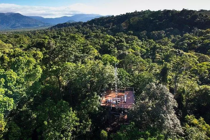Daintree Discovery Centre Family Pass Ticket