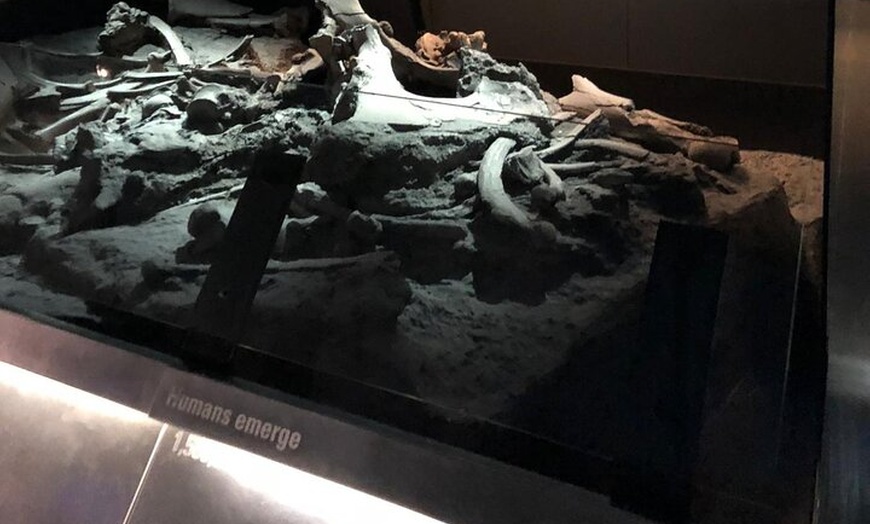 Image 47: Luxury Private Tour in London