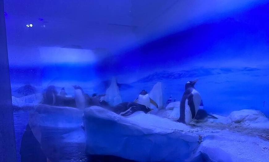 Image 35: Luxury Private Tour in London