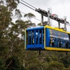 Image 5: Blue Mountains Day Tour: Zoo, Scenic World & Three Sisters
