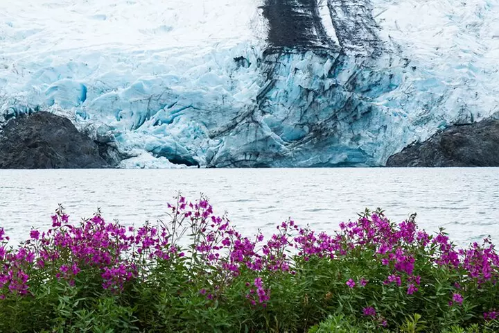 Valley of Glaciers Experience with Portage Glacier Cruise and Wildl...