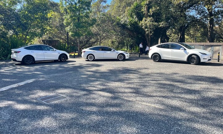 Image 4: Hire Car and Limousine Service