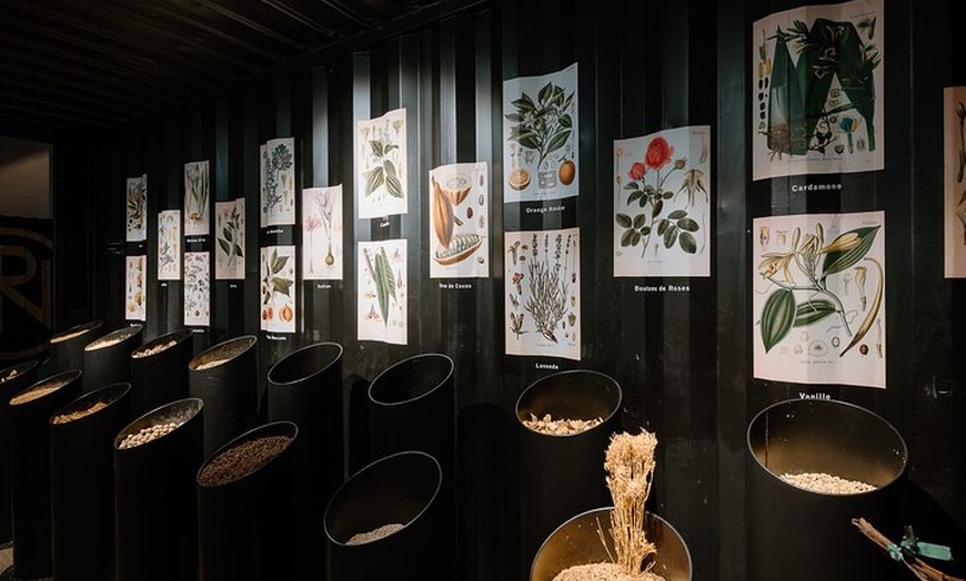 Image 8: Visite VIP Maison Noilly Prat, dégustations de vins et de vermouth