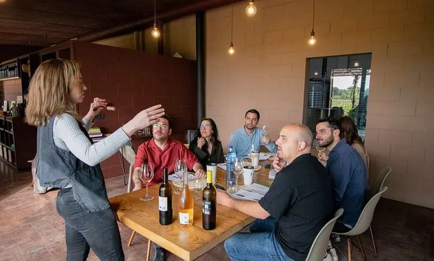Image 9: A caballo entre viñedos y cata de vinos: Aventura y enoturismo