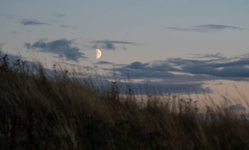 Image 13: Arthur's Seat Sunset Hike with Mountain Guide