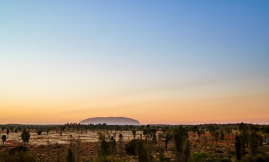 Image 10: Uluru (Ayers Rock) Field of Light Sunrise Tour