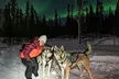Aurora Activity at Sluice Box Sled Dogs - Second Medium