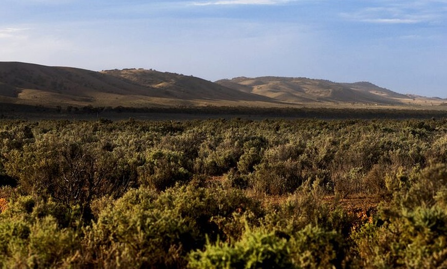 Image 22: Burra Township to Mount Bryan History and Landscape Day Tour