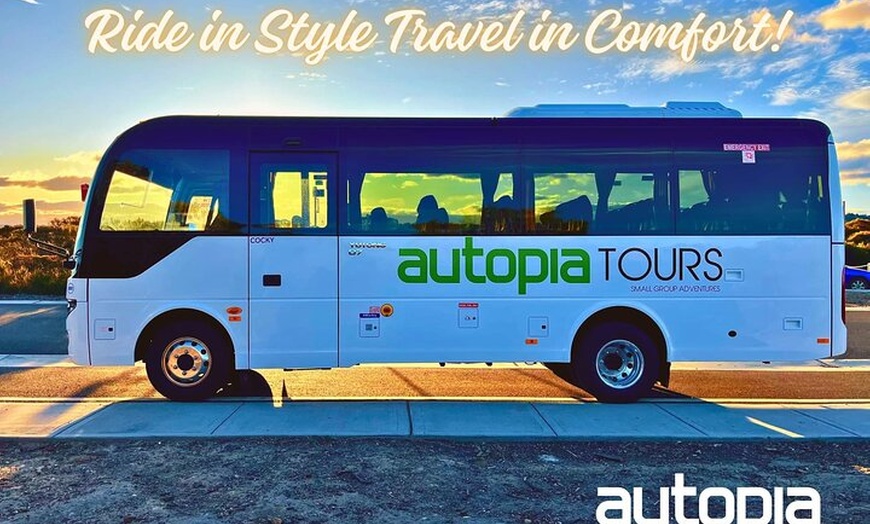 Image 6: Great Ocean Road, 12 Apostles, Rainforest & Morning Tea-Melbourne