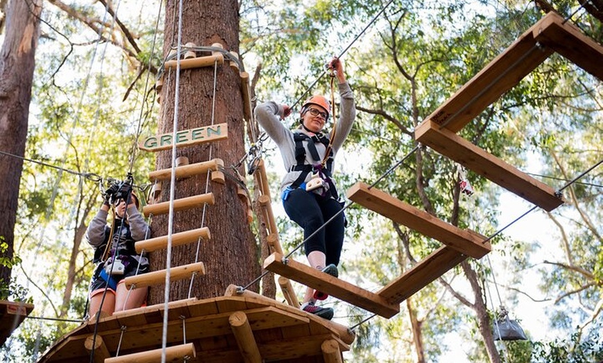 Image 4: Treetops Adventure Coffs Harbour Tree Ropes Course