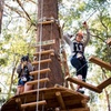 Image 4: Treetops Adventure Coffs Harbour Tree Ropes Course