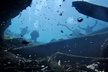 Snorkel Or Dive The Amazing Rainbow River Florida - Second Medium