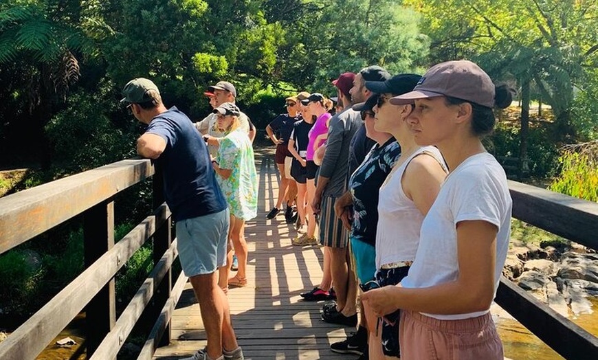 Image 3: Self-Guided River Sledding Adventure on the Yarra River