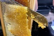 1-Hour Honey House Saturday Tour - Second Medium