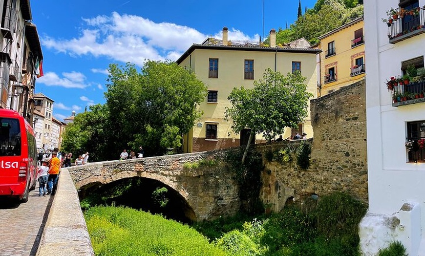 Image 2: Caza del carroñero de Granada autoguiada