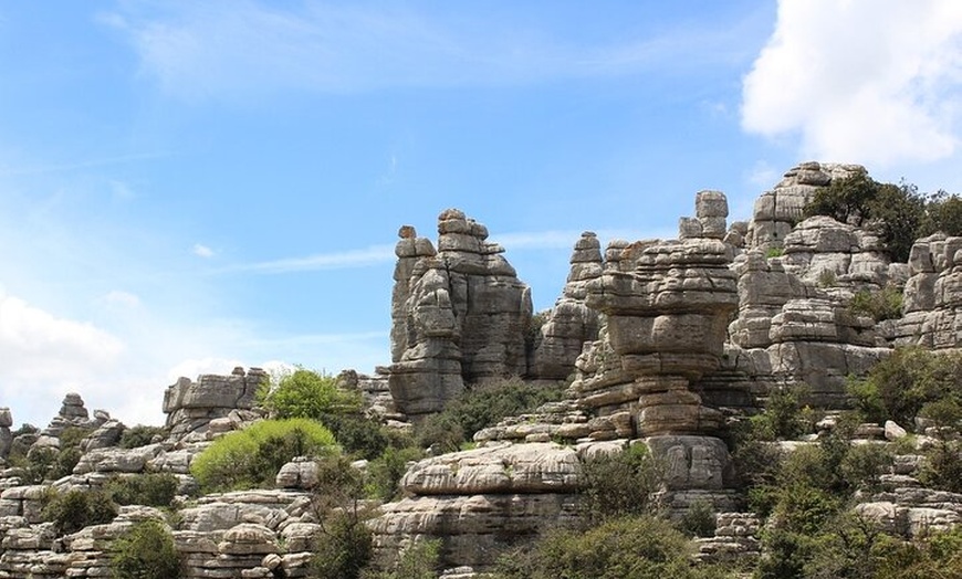 Image 3: Desde Málaga : Antequera & El Torcal Private DayTrip