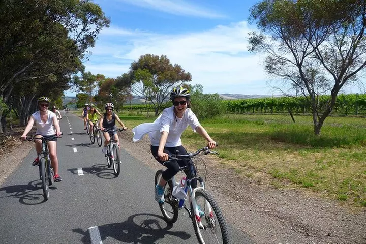 McLaren Vale Wine Tour by E-Bike (Private & Small Group)