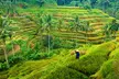 ✈ BALI | Ubud & Legian - Entdeckung der Balinesischen Traditionen, 7 Nächte - Rundreise - Second Medium