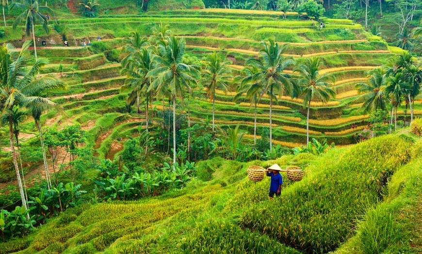Image 3: ✈ BALI | Ubud & Legian - Découverte des Traditions Balinaises, 7 nu...