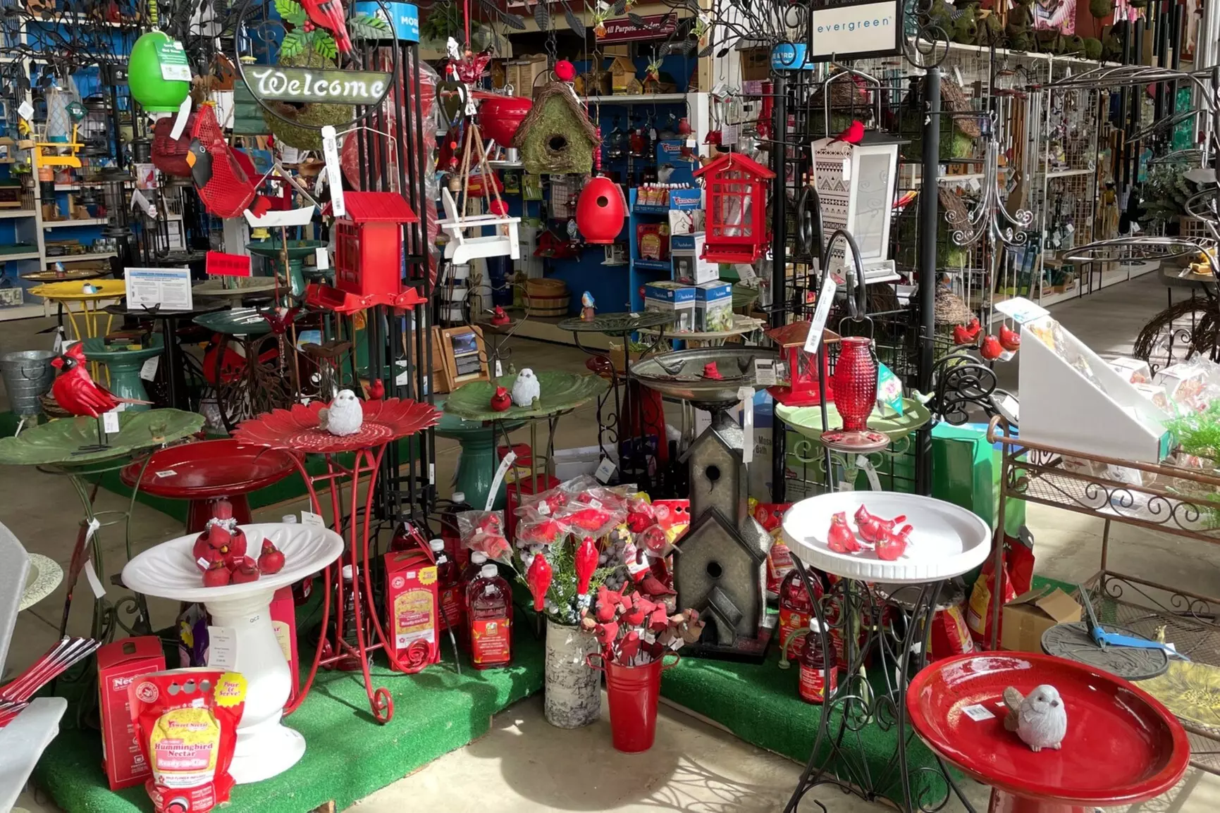 $25 For $50 Towards Home & Garden Decor, Flowers & Plants
