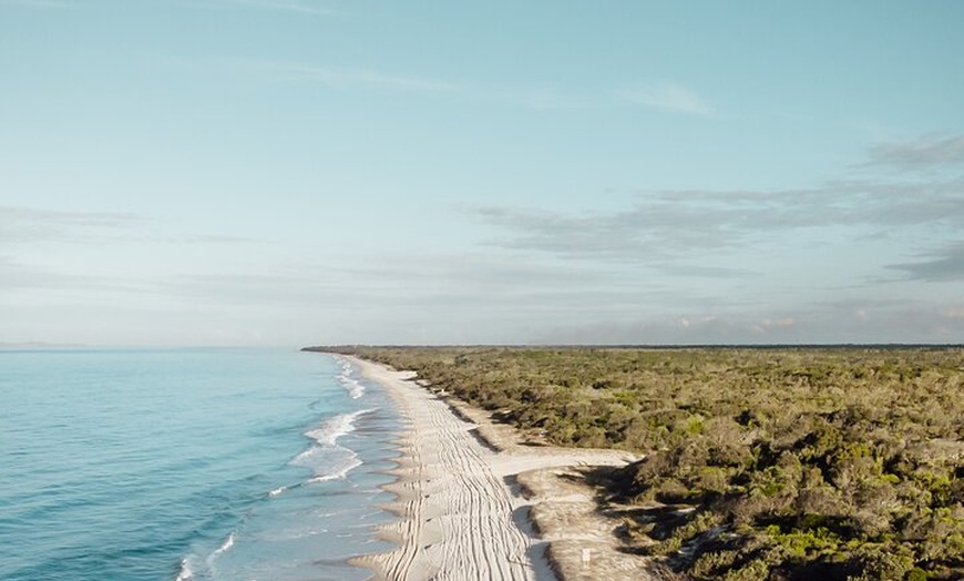 Image 13: Bribie Island 4WD Kayak and WWII Bunker Tour