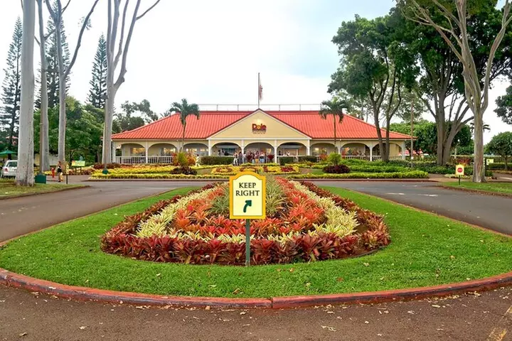 Oahu Private Tour with Mercedes Sprinter & New Luxury Vehicles