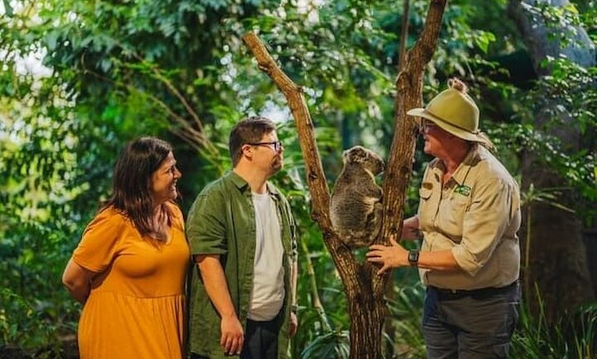 Image 11: Currumbin Wildlife Sanctuary & Burleigh Heads Private Tours