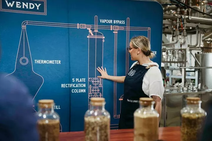 Gin and Italian Street Food Private Experience in McLaren Vale - Primary Image