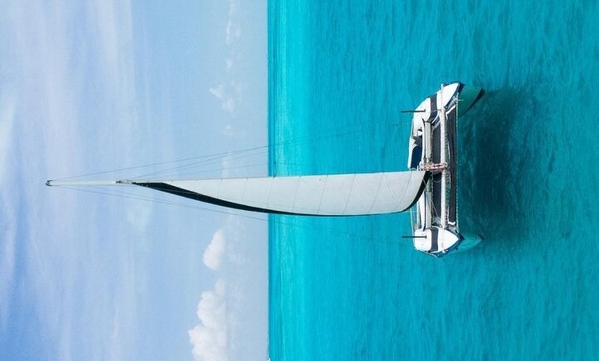 Image 8: Private Catamaran Tour to Isla Mujeres