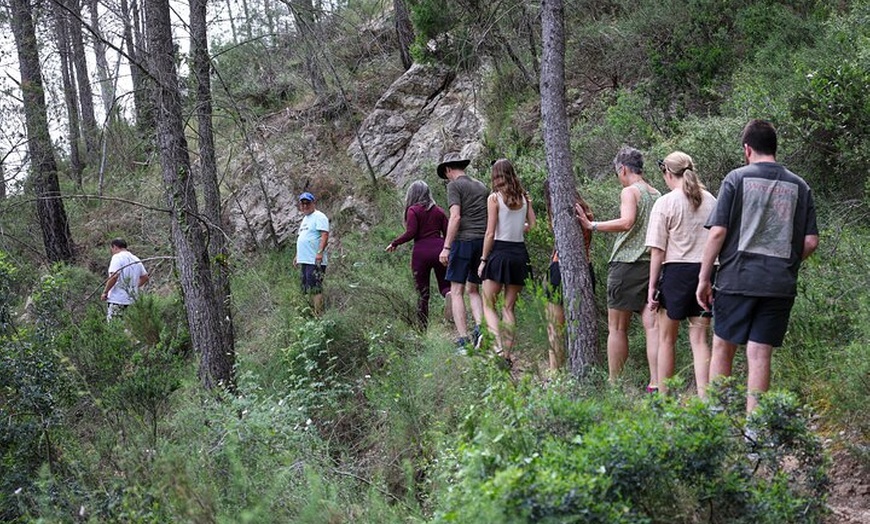 Image 17: Valencia: Aguas Termales de Montanejos y la Cascada de la novia