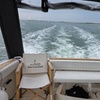 Image 4: Hayling Island Scenic Boat Tours Wildlife and Coastline Adventure