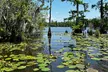 Eco Friendly Swamp Tour with Lunch Stop - Second Medium