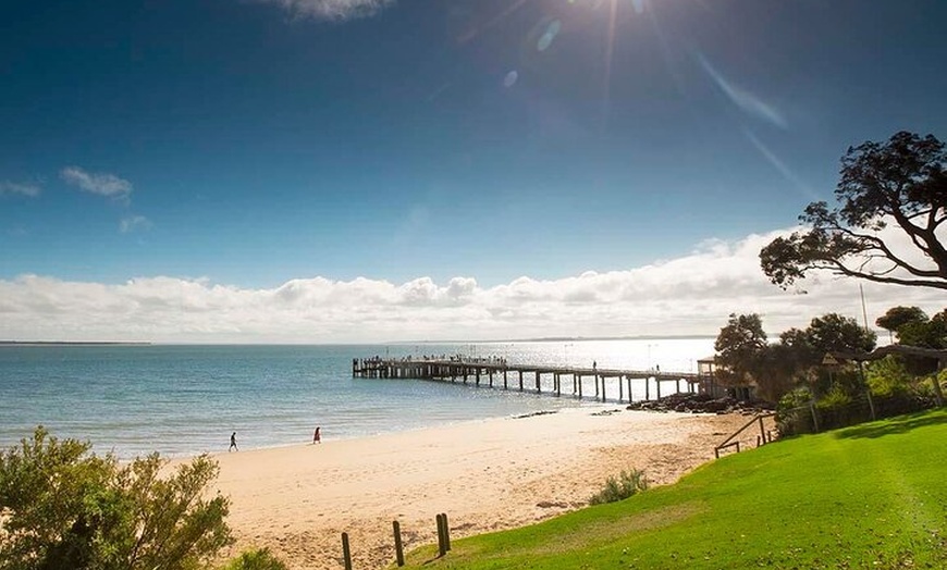 Image 4: Melbourne Phillip Island Private Tour with Penguin