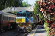 Kuranda Express: Skyrail & Railway Self-Guided Tour w/ Transfers - Image 6