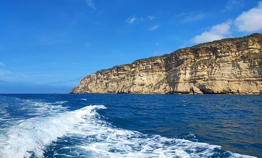 Image 15: Tour Privado en Barco por Trafalgar,Cádiz con Aperitivo y Snorkel
