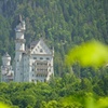 Image 15: Schloss Neuschwanstein Private Tour ab München